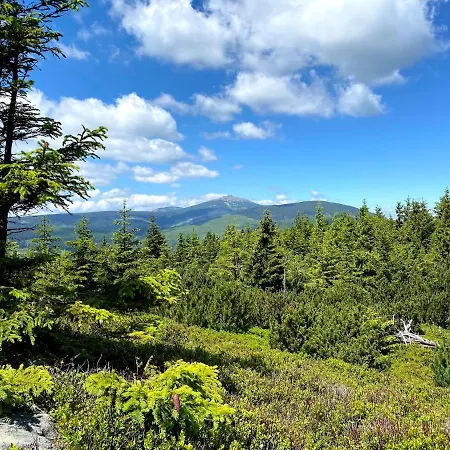 Mala Upa 公寓 Horní Malá Úpa